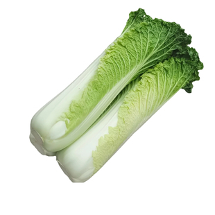 顺丰包邮 云南高山麻叶青大白菜长新鲜蔬菜天津绿青口白9斤包邮