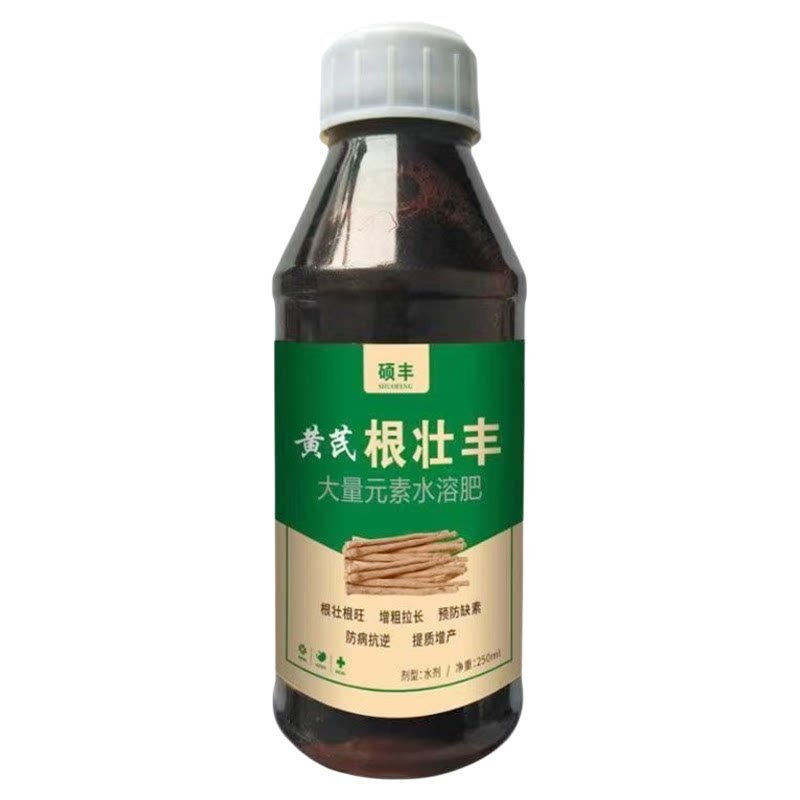 黄芪根壮丰黄芪壮根灵药材专用