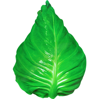 春丰牛心甘蓝菜种子包菜种子