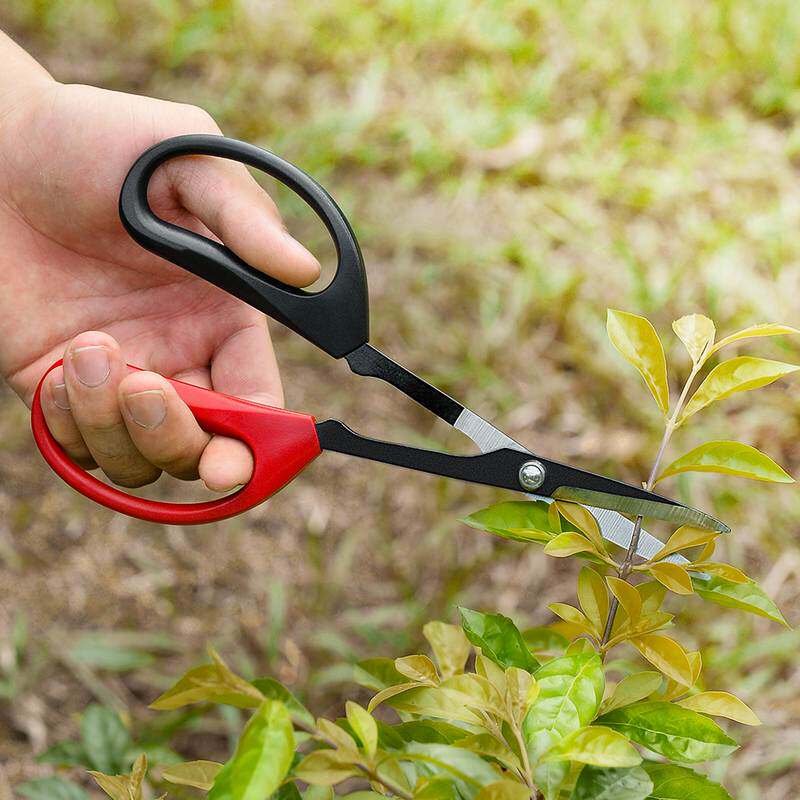 双色手柄发黑不锈钢园艺剪修饰园林果树工具盆栽剪刀修剪剪