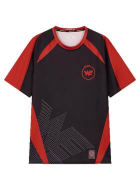 王者荣耀KPL2025西安WE官方队服