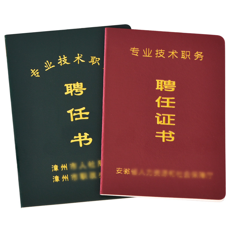 专业技术职务聘任书医护幼儿园