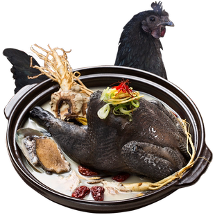 散养金蝉五黑鸡“电子身份证认证” 月子乌鸡新鲜农家散养土母鸡