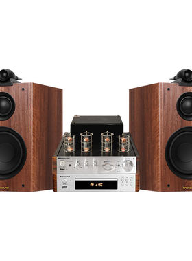 诺普声Q3发烧HIFI套装10D胆机DVD