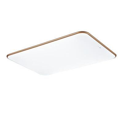 fsl佛山照明客厅吸顶灯