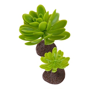 菡玄妙艺仿真绿植模型假植物盆栽橱窗装饰摆件微景观小树拍摄道具