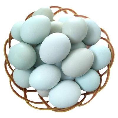 【热卖第一】正宗散养绿壳乌鸡蛋