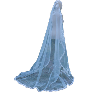 新款白色头纱新娘结婚主婚纱配件超仙中长款韩式结婚森系网红拍照