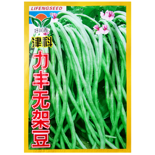 津科力丰无架豆种子不搭架长豆角地豇豆种籽春秋农家田园蔬菜种孑