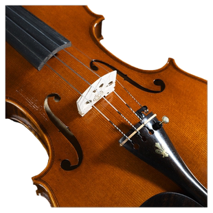 SEENWINS圣维斯PALLAS小提琴尼龙弦PL01