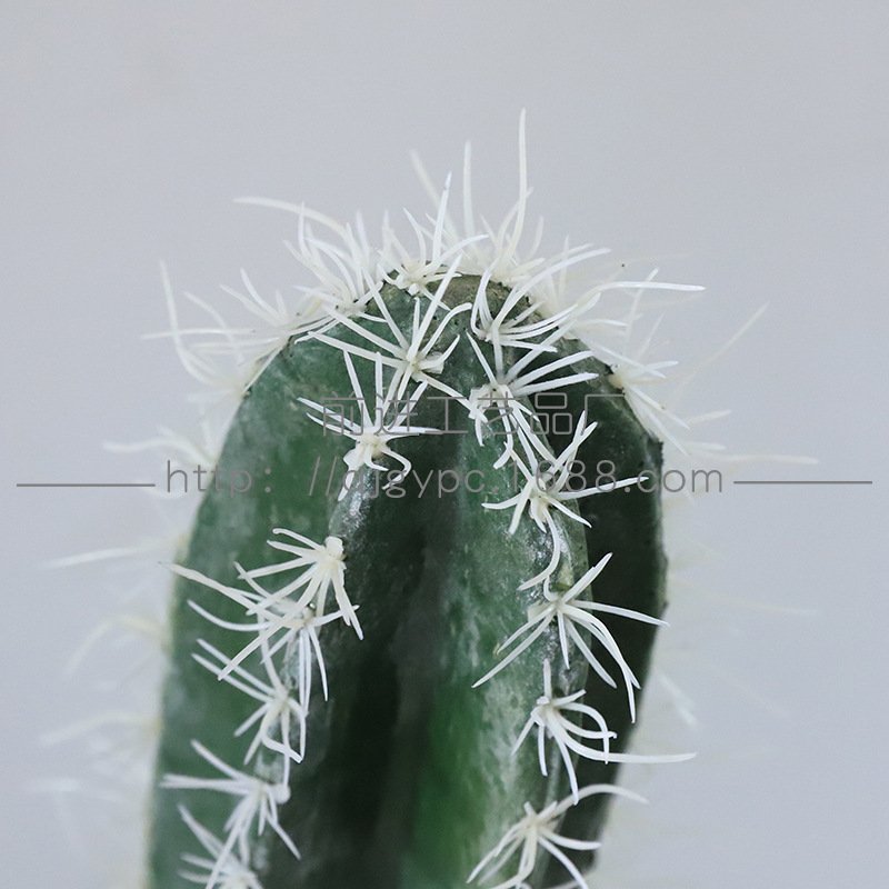 INS网红仙人掌居家装饰天仙人落地量尺大型墨西哥绿柱植客厅摆件
