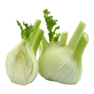 新鲜茴香头茴香根球茎茴香西餐特色蔬菜香料炒牛肉食材多省包邮