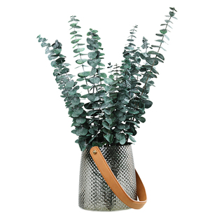 尤加利叶永生花干花花束家居摆设装饰摆件北欧风软装搭配天然真花