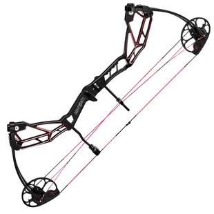 复合弓射箭盘古滑轮弓新款反曲传统美猎高端弓箭猎弓雷瓦侬入门弓