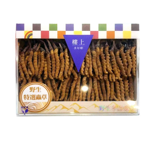 香港楼上冬虫夏草礼盒装滋补