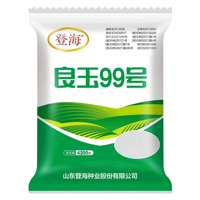 良玉99号玉米种子早熟