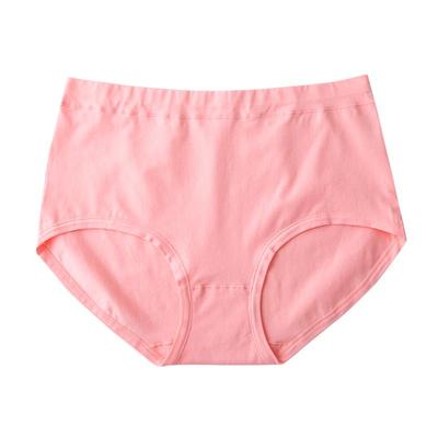 特大码宽松透气女全棉短裤