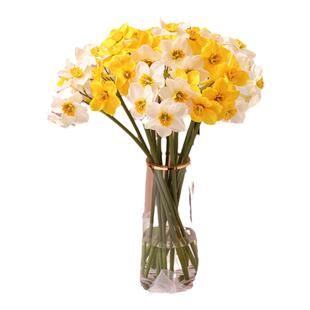北欧把束水仙花仿真花塑料假花绢花家居客厅餐桌小清新装饰花摆设