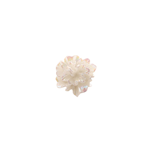 花朵无痕磁吸胸针女领口防走光扣设计感小众优雅气质别针固定衣服