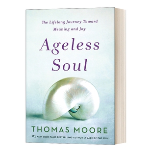 英文原版 Ageless Soul 晚年优雅 英文版 可以让你变得更好的心理学书 进口英语原版书籍