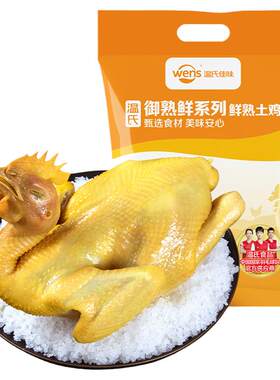 温氏盐焗土香鸡常温即食盐焗鸡
