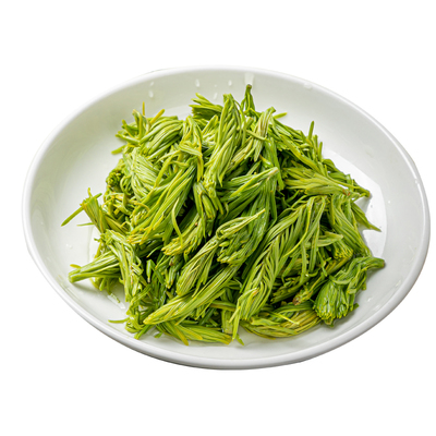 高山沙松尖嫩芽凉拌小炒商用食材