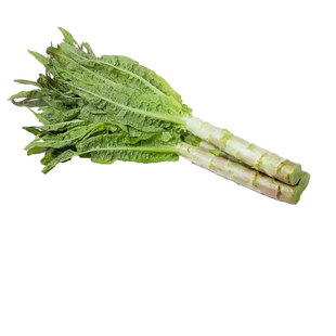 苏北农家自种莴笋新鲜红叶青莴笋杆紫叶绿肉香莴苣鲜嫩时令蔬菜