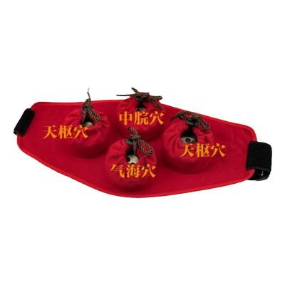 艾易璞缇树随身灸肩颈腰腹私密灸