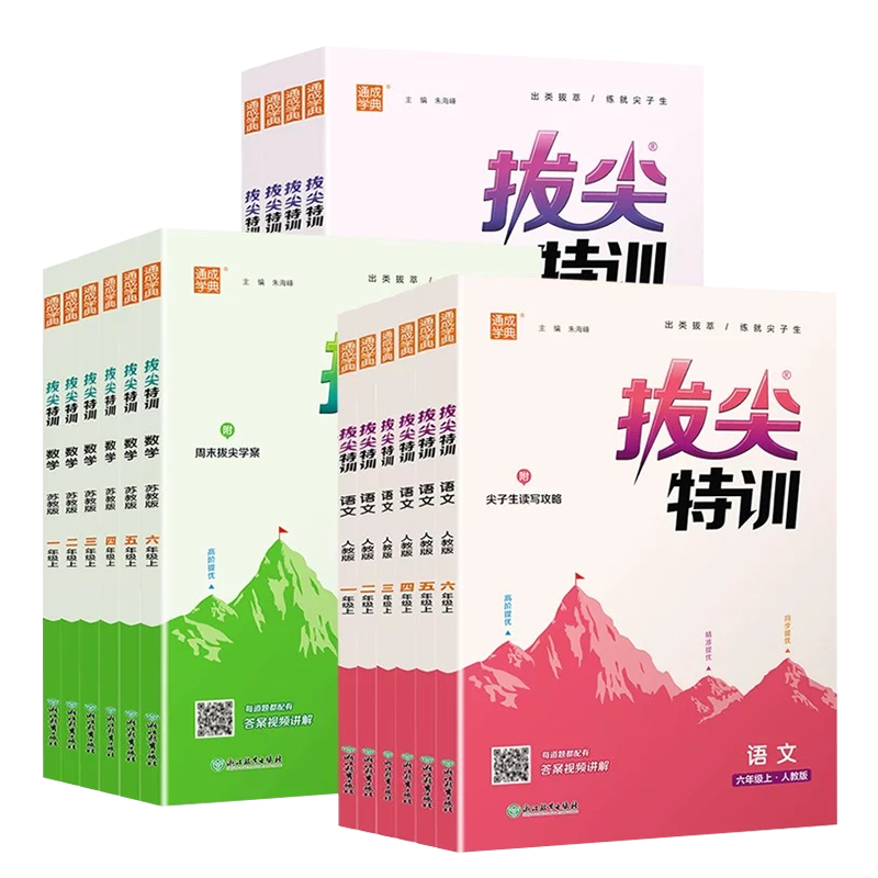 通城学典拔尖特训正版