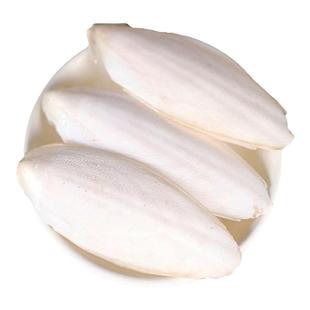 海螵蛸中药材乌贼骨墨鱼骨粉超大块整个海螵蛸特级500g新货可磨粉