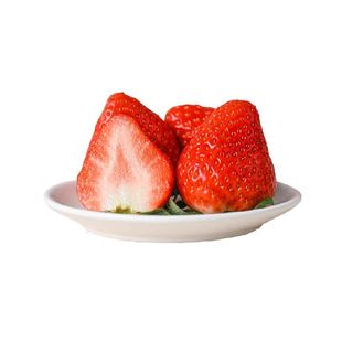 末浅丹东99草莓红颜九九大草莓新鲜水果应季现摘马家岗奶油草莓