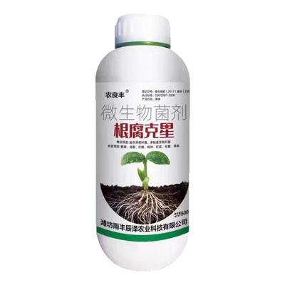 根腐克星根腐专用辣椒草莓蔬菜果树防烂根茎基腐病微生物菌剂