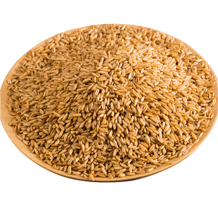 新燕麦米 内蒙燕麦粒 21年秋季燕麦仁坝上农家五谷杂粮煮饭熬粥