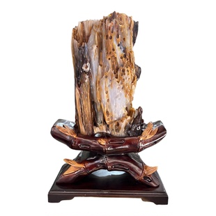 缅甸树化玉天然树化石原石木化玉奇石木化石家居客厅书房博古摆件