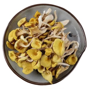 云南鸡油菌干榆黄菌菌菇山珍菌类特产家用营养煲汤
