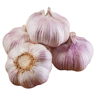 天天特价山东金乡紫皮大蒜头干蒜批发新鲜蔬菜蒜头籽农家蒜子自种