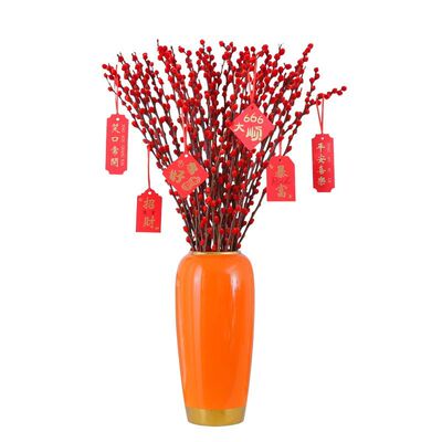 银柳真花鲜枝干花花束客厅摆件水培植物室内鲜花招财年宵花卉盆栽