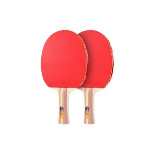 红双喜乒乓球拍横拍直拍双拍1234星入门进阶训练比赛中考学生成人