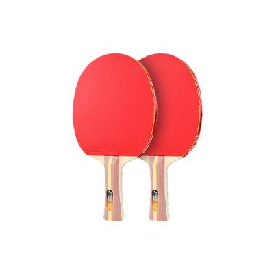 红双喜乒乓球拍进阶训练假一赔十