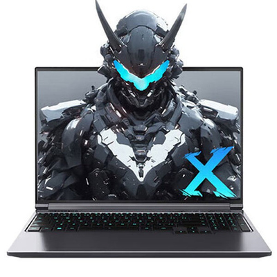 机械革命蛟龙16Pro旷世X5070Ti
