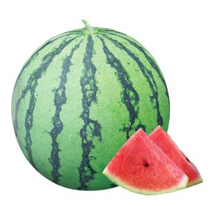 懒汉西瓜种籽大全8424麒麟黑美人甜王西瓜子阳台无籽瓜拇指小西瓜