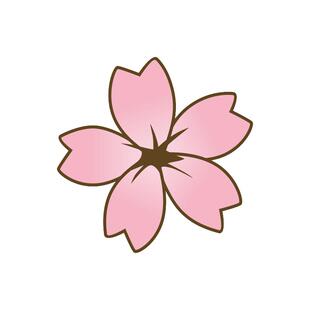 樱花车贴车身装饰个性创意图案汽车贴纸防水划痕遮挡遮盖刮痕贴花