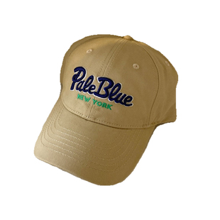 儿童棒球帽子鸭舌大男孩宝小痞帅气炸街2025新款女秋季冬潮酷秋天