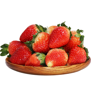 【现摘现发】长丰红颜牛奶草莓新鲜水果包邮 当季大草莓鲜草莓