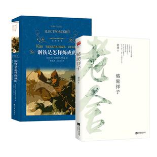 骆驼祥子和钢铁是怎样炼成的 江苏凤凰文艺出版社/译林出版社 初中版 七年级下册必读课外书 初一名著阅读原著 刚铁是怎样练成的。