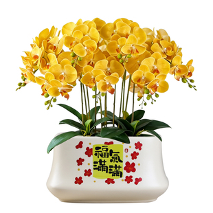 国风现代长方形陶瓷花盆带托盘卧室喜庆大号盆蝴蝶兰多肉绿萝盆栽