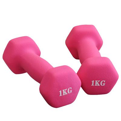 女士塑臂小哑铃一对2kg1家用健身