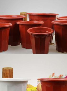 十二角塑料花盆 红白色 种花果树花盆圆形大号特大号加厚12角花盆