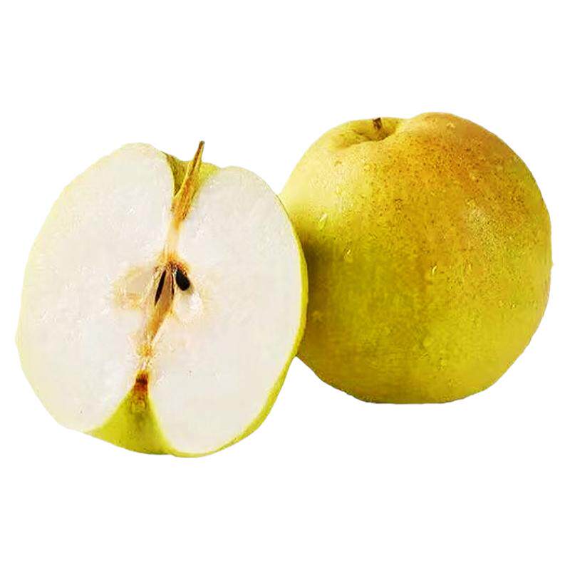 山西2026年玉露香梨脆甜多汁精品一级大果新鲜水果送礼雨露梨蜜梨