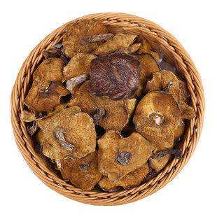 新货松蘑东北特产野生松蘑菇干货粘团子蛾子松菇黄松蘑菇一斤装